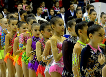 Bədii gimnastika üzrə XXII Bakı çempionatı və birinciliyi start götürüb. Bakı, Azərbaycan, 13 noyabr 2015